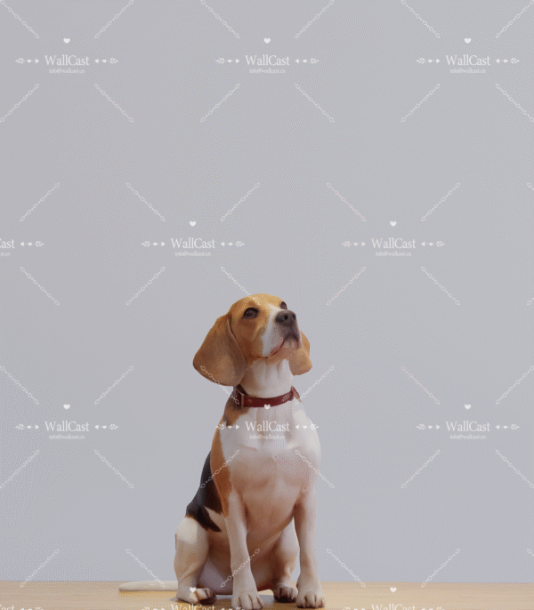 Boho Starlight Pet Photography Backdrop
