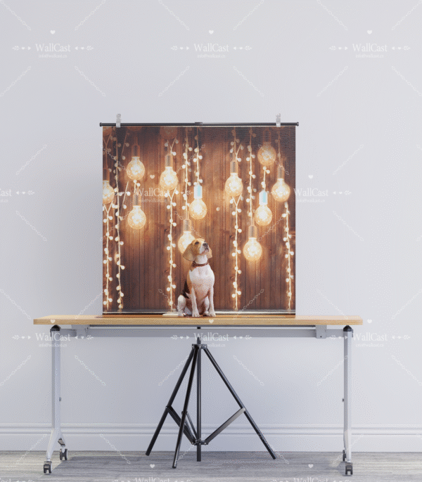 2_1 Warm Light Bulb Pet Photography Backdrop