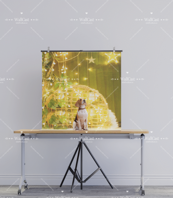 2_1 Boho Starlight Pet Photography Backdrop