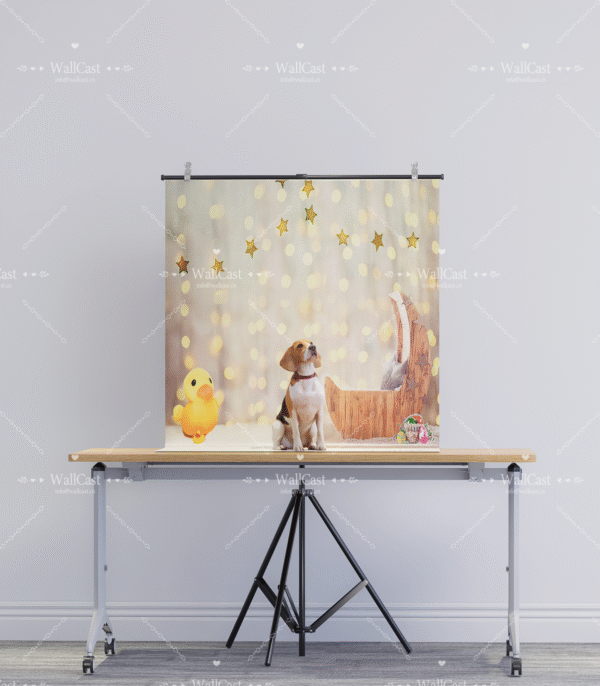 2_2 Starlight Duck Pet Photography Backdrop