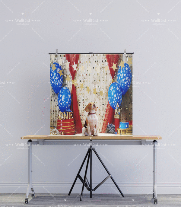 2_2 Patriotic Star Balloon Pet Photography Backdrop