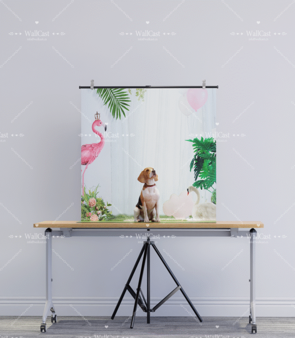 2_2 Tropical Dreamland