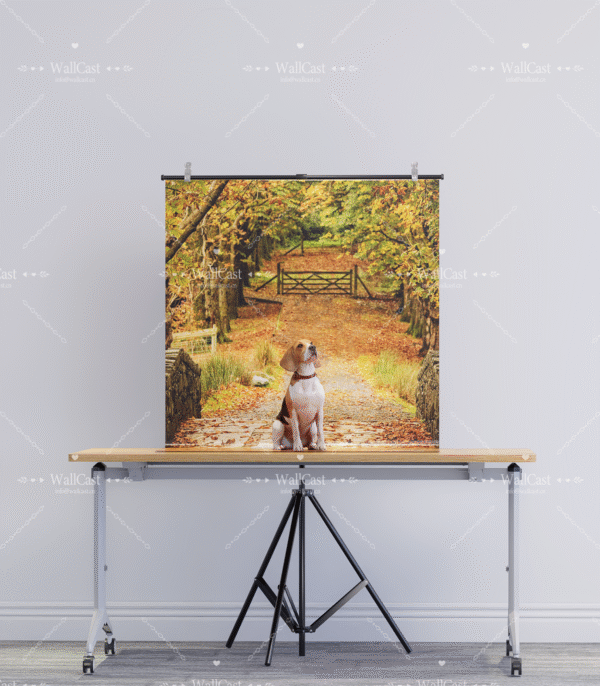 2_2 Autumn Trail Pet Photography Backdrop