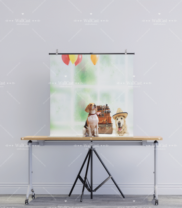 2_2 Travel Balloon Pet Photography Backdrop