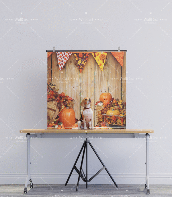 Pumpkin Party Dog Photography Background Custom Halloween Backdrop for Pet PhotosTrick or Treat Cat Kitty Photo Booth PropsOrange Black Pet Backdrop for Halloween Photography Pumpkin Party Dog Photography Background Custom Halloween Backdrop for Pet PhotosTrick or Treat Cat Kitty Photo Booth PropsOrange Black Pet Backdrop for Halloween Photography