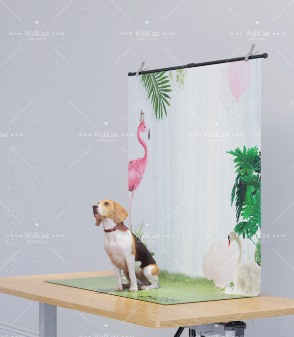 Tropical Pet Wonderland Tropical Dreamland