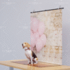 Sweet Balloons Pet Scene Pink Balloon Brick Pet Photography Backdrop