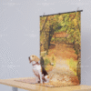 Autumn Trail & Pet Autumn Trail Pet Photography Backdrop