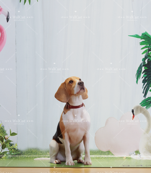 4 Tropical Dreamland