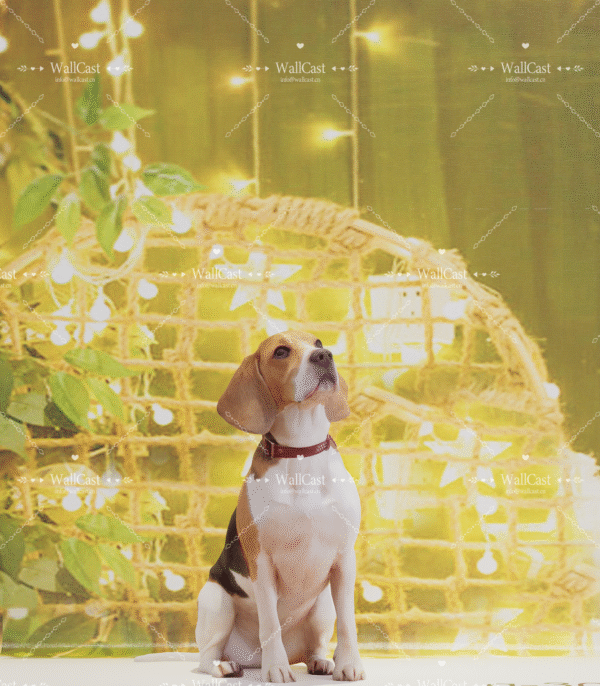 4_1 Boho Starlight Pet Photography Backdrop