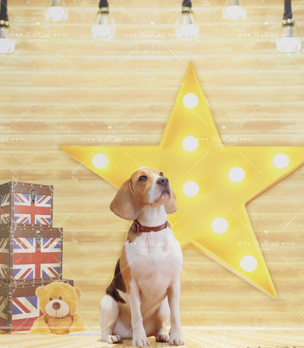 Star King Background Cloth Photography background Pet decorations Pet photography cloth