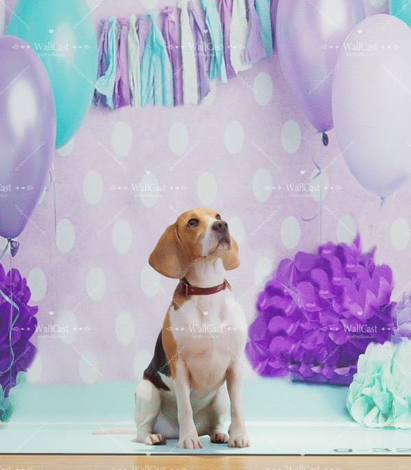 4_2 Pastel Polka Dot Balloon Pet Photography Backdrop