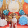 4_2 Royal Balloon Pet Anniversary Photography Backdrop