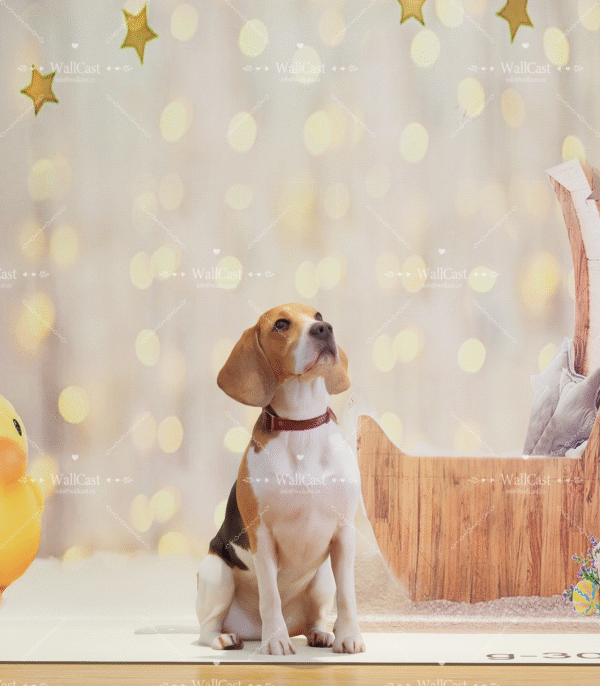 4_2 Starlight Duck Pet Photography Backdrop