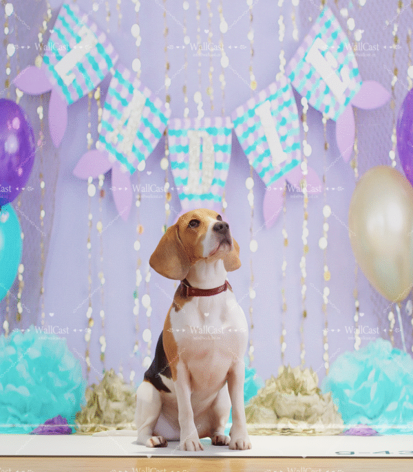 4_2 Purple Teal Balloon Pet Photography Backdrop