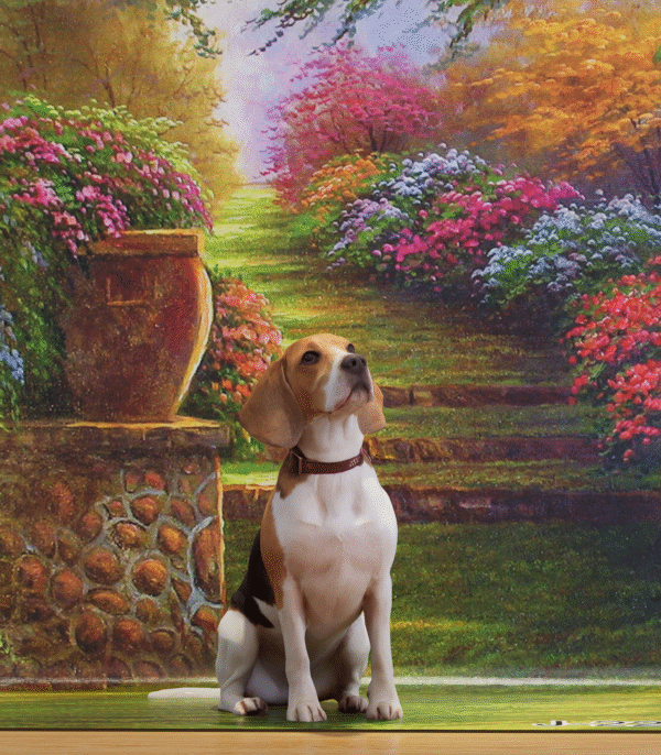 Enchanted Garden Pet Enchanted Garden Pet Photography Backdrop