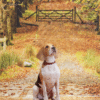 4_2 Autumn Trail Pet Photography Backdrop