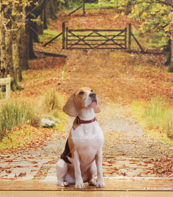 4_2 Autumn Trail Pet Photography Backdrop