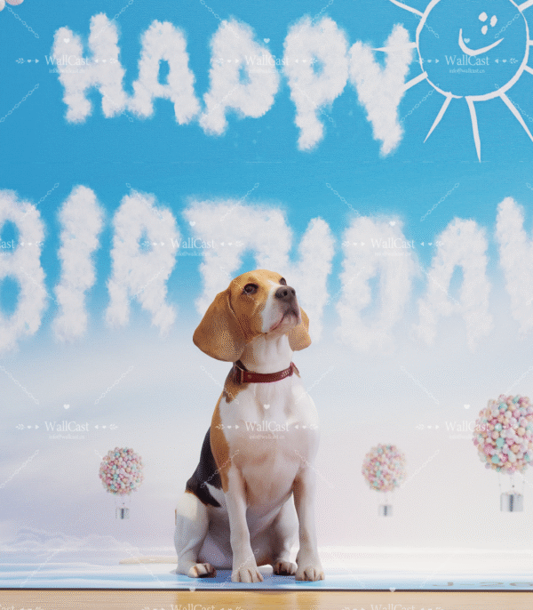 4_2 Birthday Sky Pet Photography Backdrop