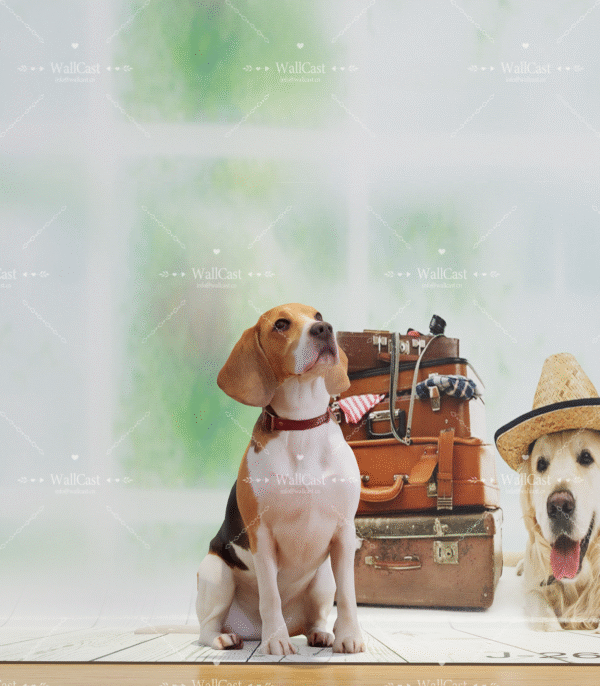 4_2 Travel Balloon Pet Photography Backdrop