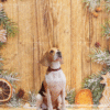 4_2 Christmas Gingerbread Pet Photography Backdrop