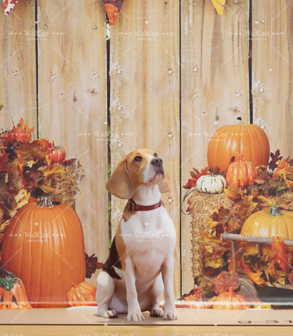 4_2 Autumn Pumpkin Pet Photography Backdrop