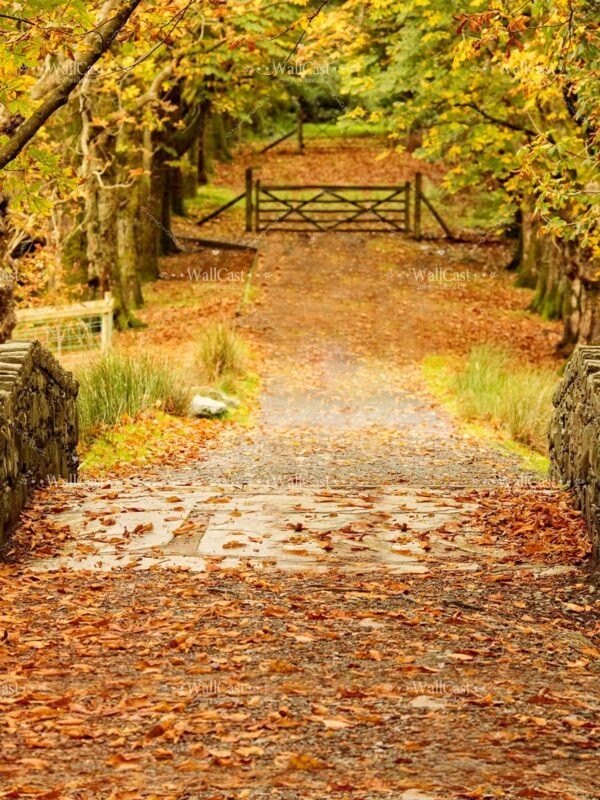 Autumn Trail & Pet Autumn Trail & Pet