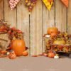 Autumn Pumpkin Pet Photography Backdrop by WallCast – Harvest Party-Themed Pet Photography Background Autumn Pumpkin Pet Photography Backdrop by WallCast – Harvest Party-Themed Pet Photography Background