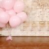 Sweet Balloons Pet Scene Pink Balloon Brick Pet Photography Backdrop by WallCast – Retro Party-Themed Pet Photography Background
