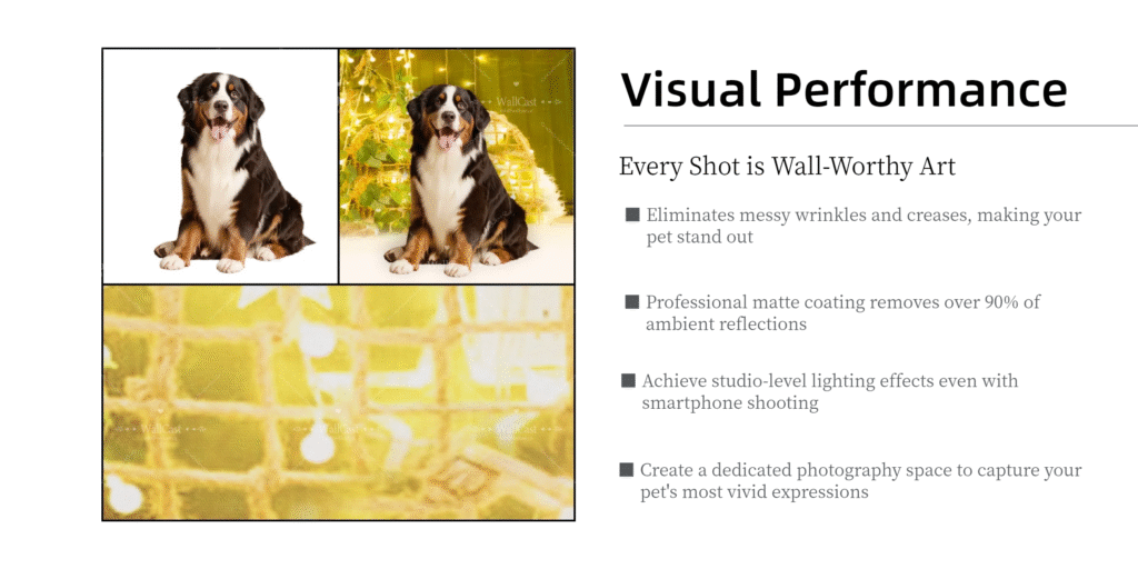 Royal Balloon Pet Anniversary Photography Backdrop by WallCast – Golden Festive-Themed Pet Photography Background