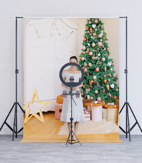 Christmas Dreamy Backdrop