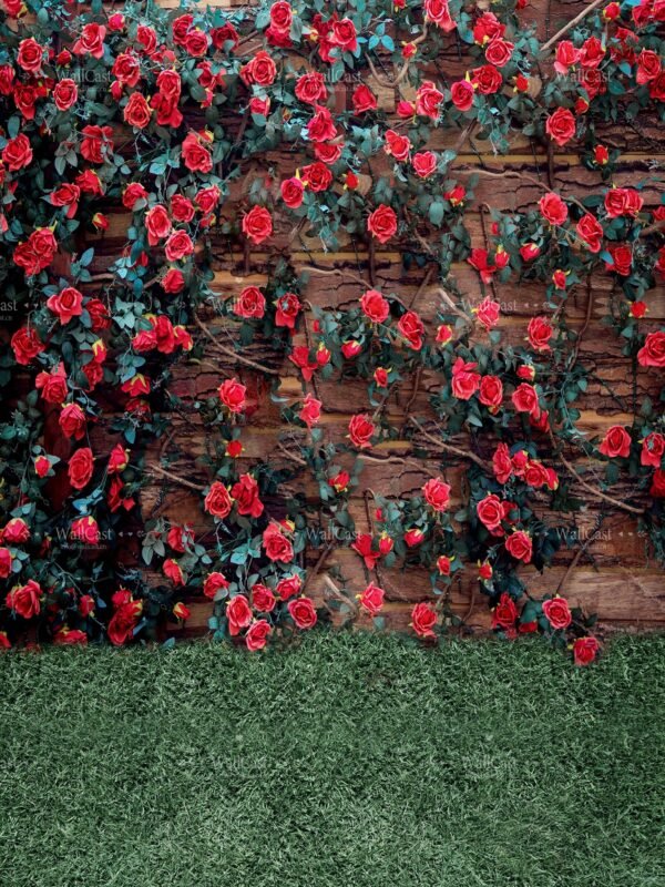 Rose - Filled Romance Rose - Filled Romance