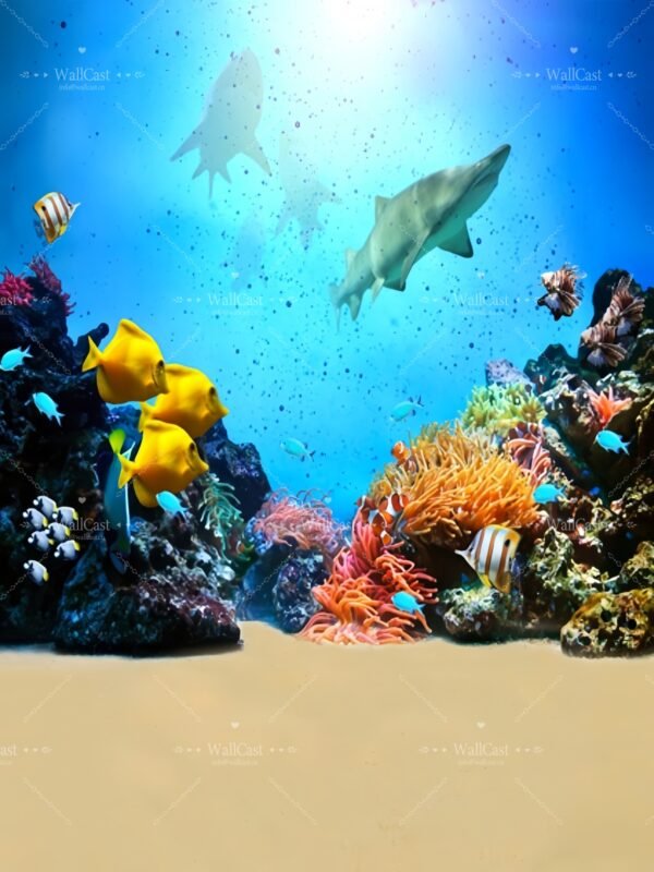 t-2531_副本_副本 Underwater Shark & Coral Reef Photography Backdrop