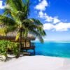 t-3056 1.75x2_副本 Tropical Beach Hut & Palm Tree Photography Backdrop