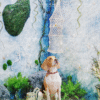 Enchanted Nature Vibe Enchanted Nature Pet Photography Backdrop