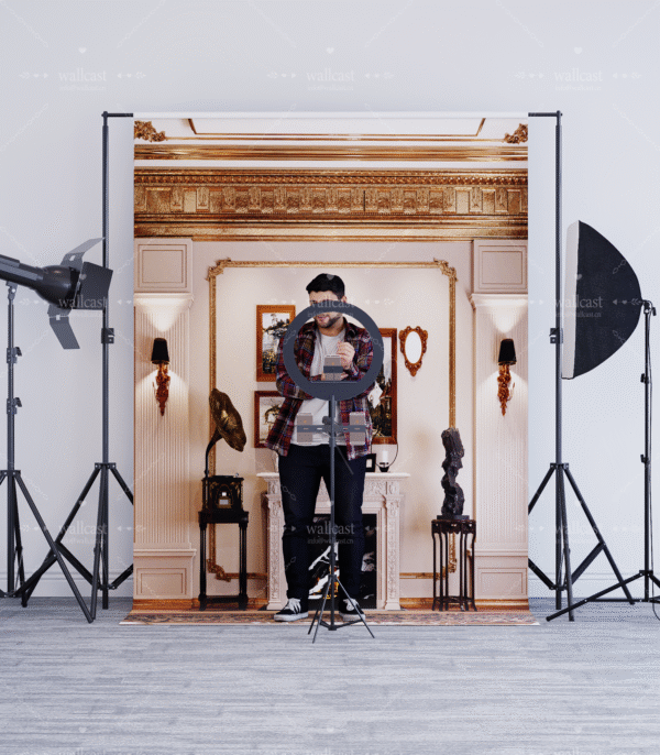 18888 European Classical Luxury Living Room Live Backdrop